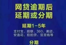 各种网贷+信用卡 退息挂账 全国在线接单 欢迎甩单合作-项目网