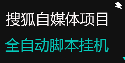 【高端精品】搜狐视频全自动无脑挂机项目,单窗口一天6-10+，无风控官方打款【详细教程+全自动脚本】-项目网