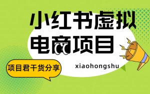 1天359 17天挣了21378 只要发笔记就行 小红书虚拟电商的项目-项目网