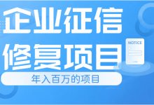 暴利小生意 一单2000 一年100万 企业征信修复项目-项目网