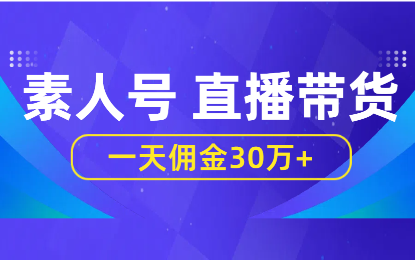 素人号带货爆了 一天赚30万佣金  玩法拆解+ 附加教程-项目网