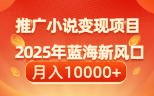 推广小说变现项目拆解,新手小白看完这个方法,也可月入10000+(附详细教程)-项目网