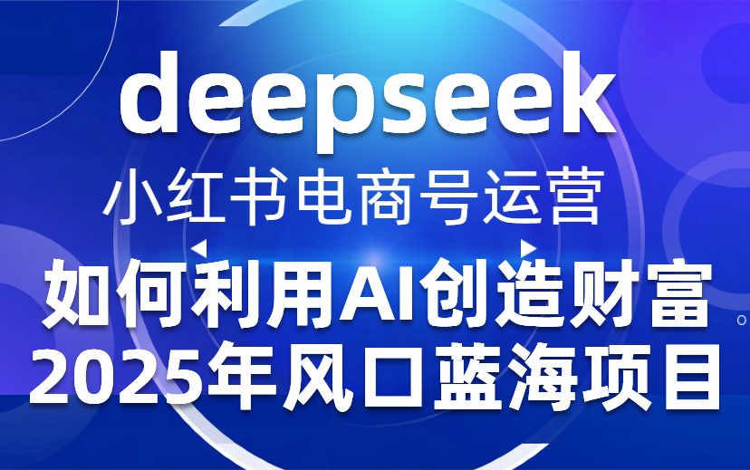 2025年挣钱小项目，有人通过deepseek赚钱，日入5位数（附deepseek指导手册）-项目网
