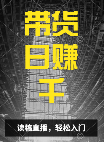 视频号技术直播带货， 会读稿就行，小白日入1000+-项目网