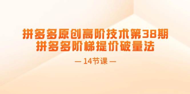 拼多多原创高阶技术第38期，拼多多阶梯提价破量法（14节课）-项目网