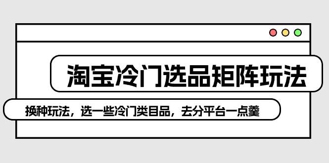 淘宝冷门选品矩阵玩法：换种玩法，选一些冷门类目品，去分平台一点羹-项目网