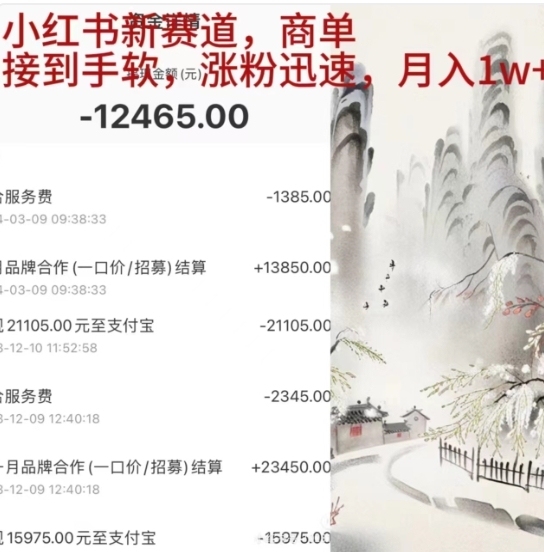 小红书新赛道，商单接到手软，涨粉迅速，一个月1w+-项目网
