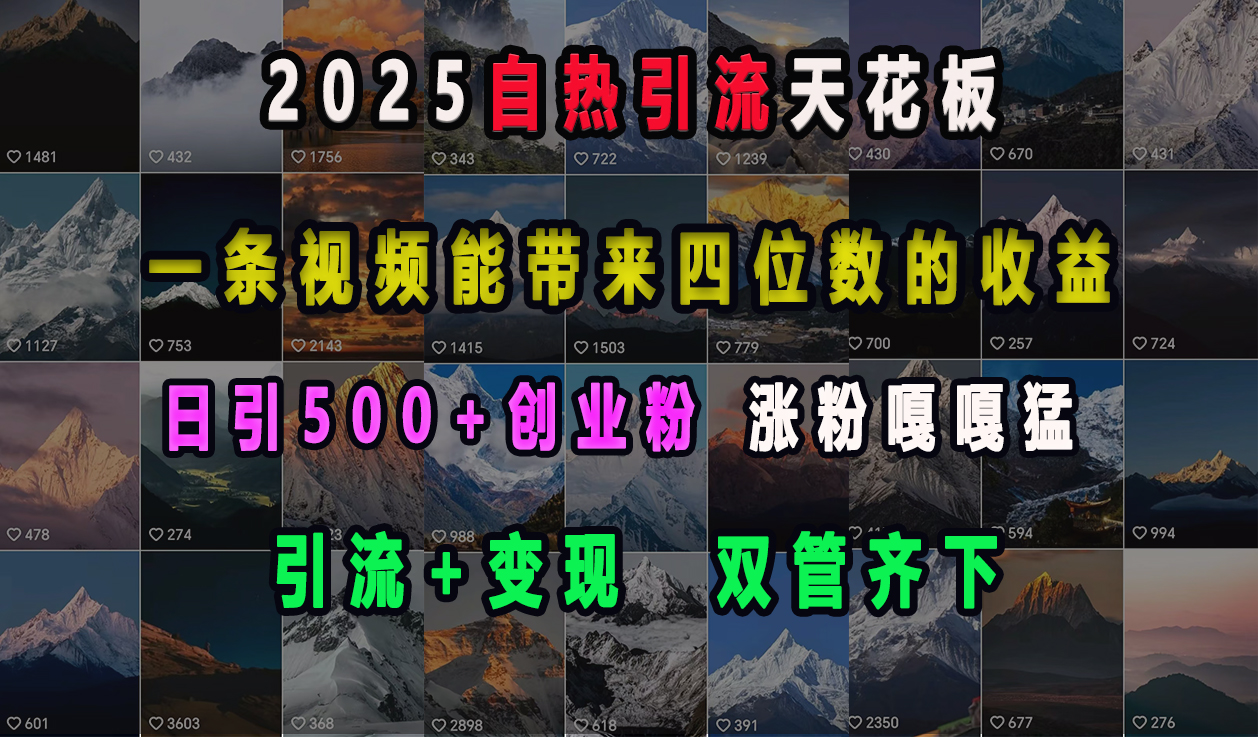 2025自热引流天花板，一条视频能带来四位数的收益，引流+变现双管齐下，日引500+创业粉，涨粉嘎嘎猛-项目网