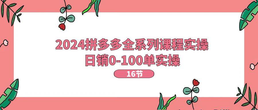 2024拼多多全系列课程实操，日销0-100单实操【16节课】-项目网