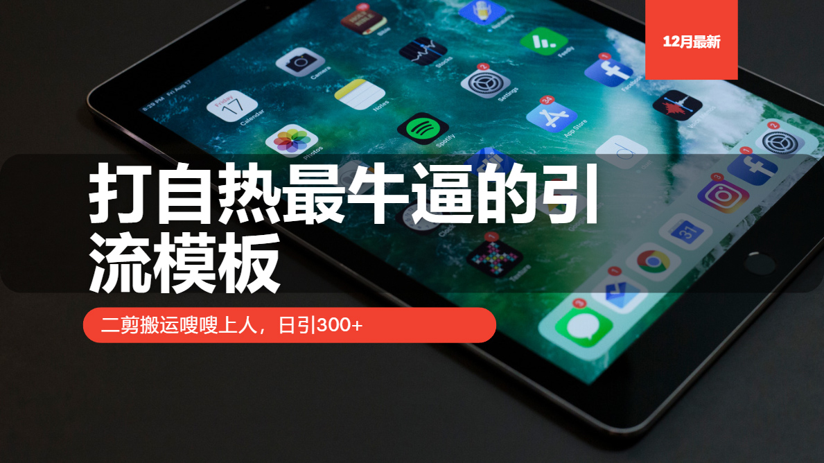 打自热最牛逼的引流模板，日引300+，二剪搬运嗖嗖上人-项目网
