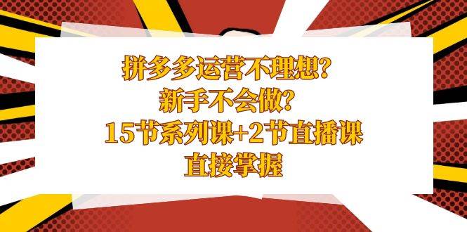 拼多多运营不理想？新手不会做？15节系列课+2节直播课，直接掌握-项目网