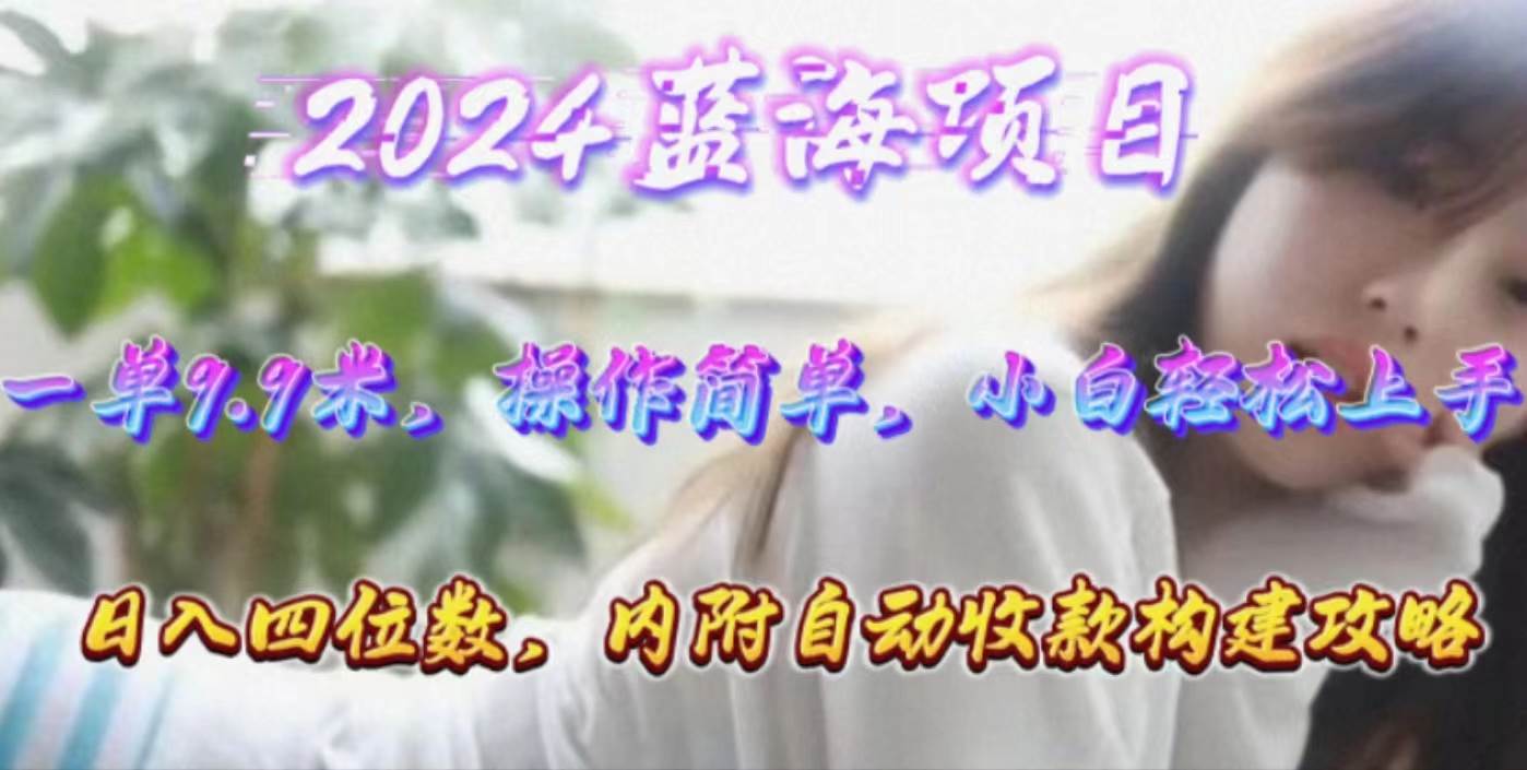 年轻群体的蓝海市场，1单9.9元，操作简单，小白轻松上手，日入四位数-项目网