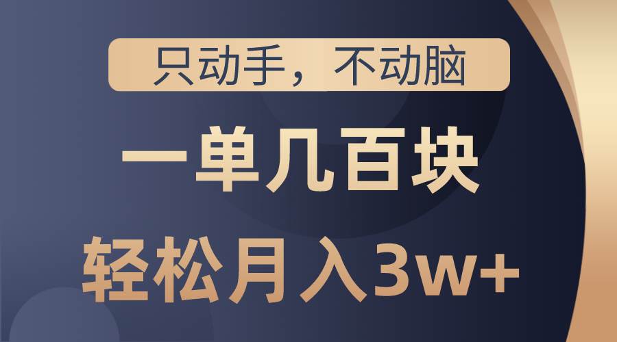 只动手不动脑，一单几百块，轻松月入3w+，看完就能直接操作，详细教程-项目网