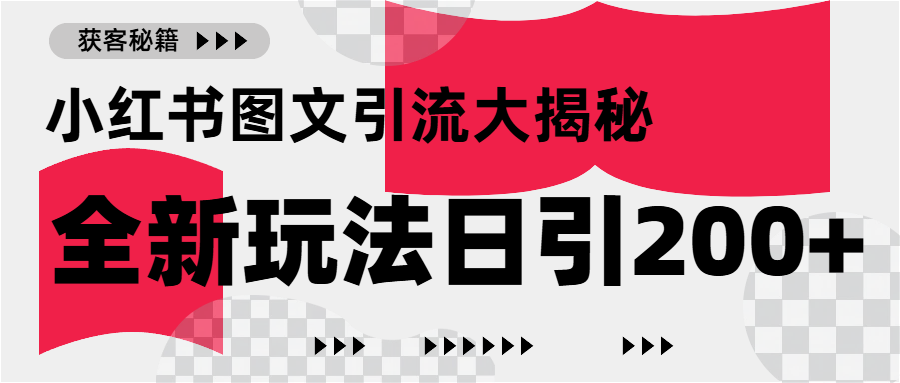 小红书图文引流，只需一张图片即可撬动百万流量，日引200+创业粉-项目网