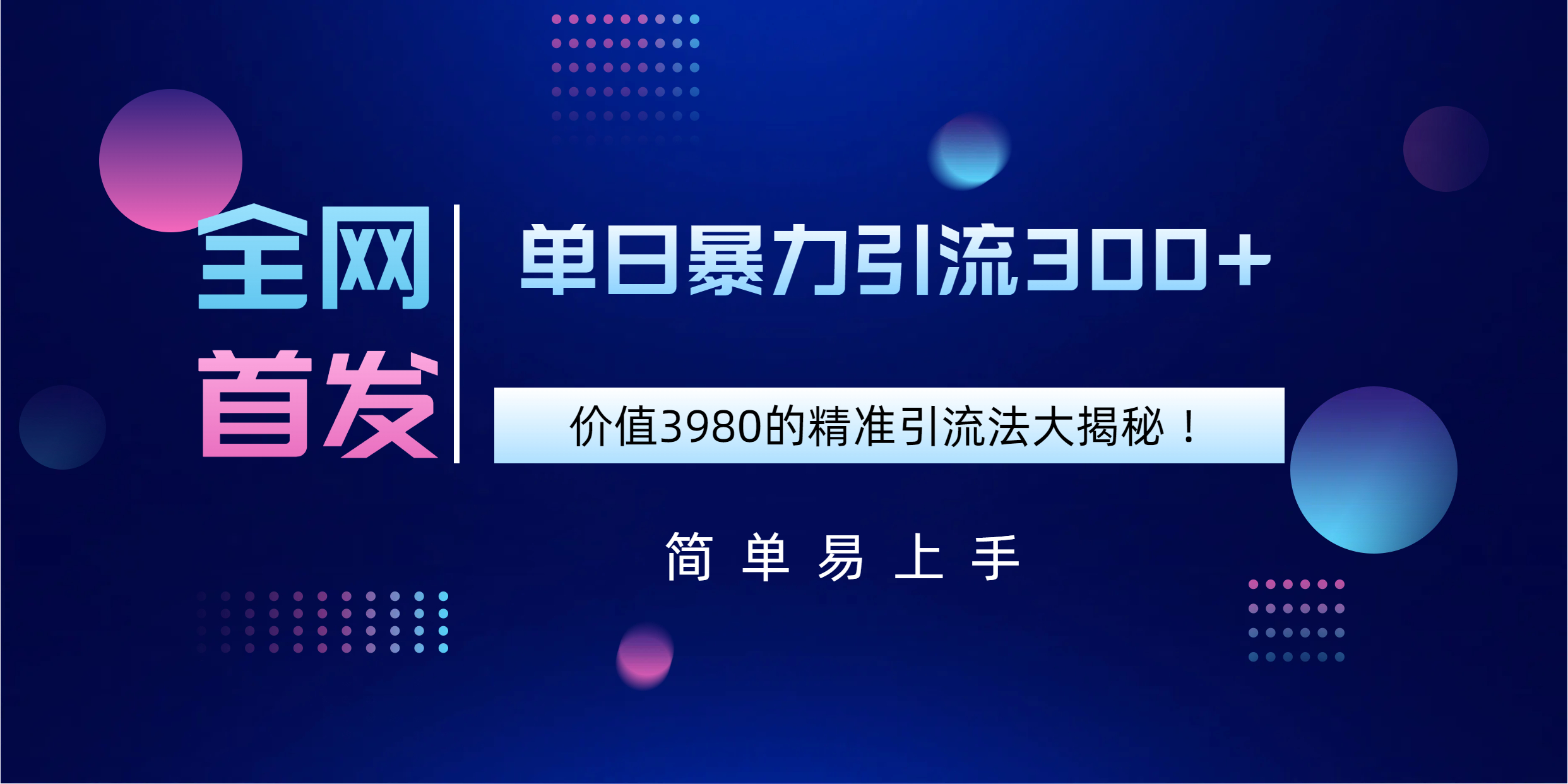 全网首发，价值3980单日暴力引流300+的精准引流法大揭秘！-项目网