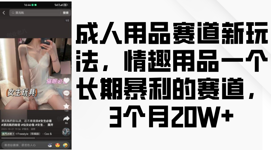 情趣用品一个长期暴利的赛道，成人用品赛道新玩法，3个月20W+-项目网