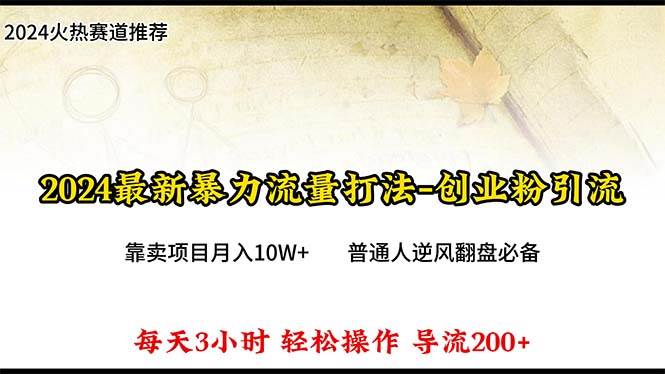 2024年最新暴力流量打法，每日导入300+，靠卖项目月入10W+-项目网
