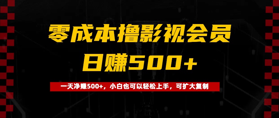 0成本撸影视会员，一天净赚500+，小白也可以轻松上手，可扩大复制-项目网