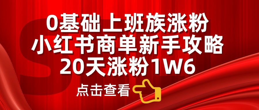 0基础上班族涨粉，小红书商单新手攻略，20天涨粉1.6w-项目网