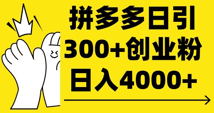 拼多多日引300+创业粉 日入4000+-项目网