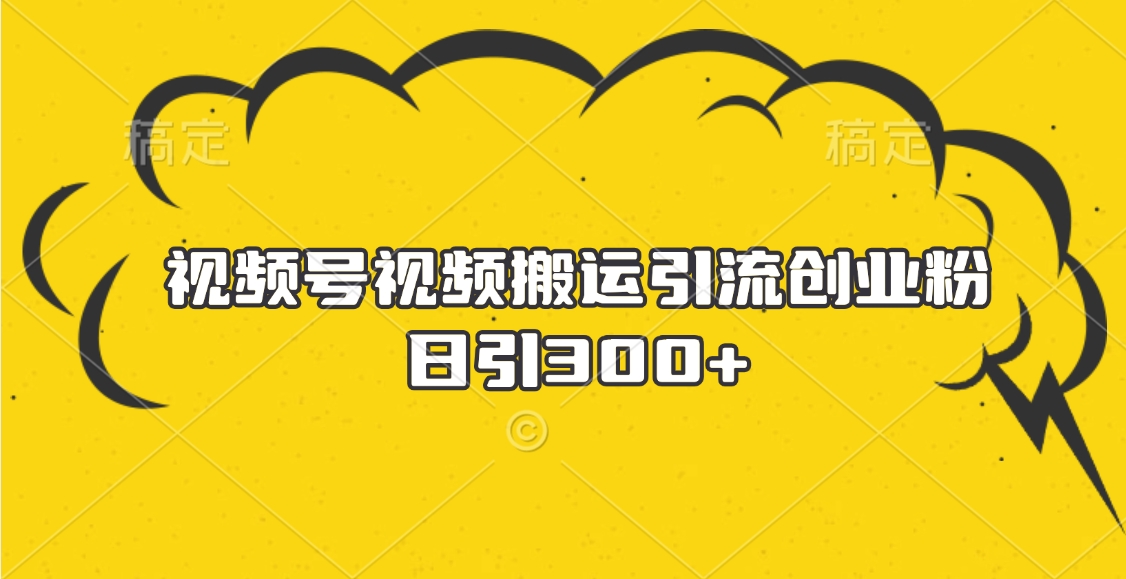 视频号视频搬运引流创业粉，日引300+-项目网