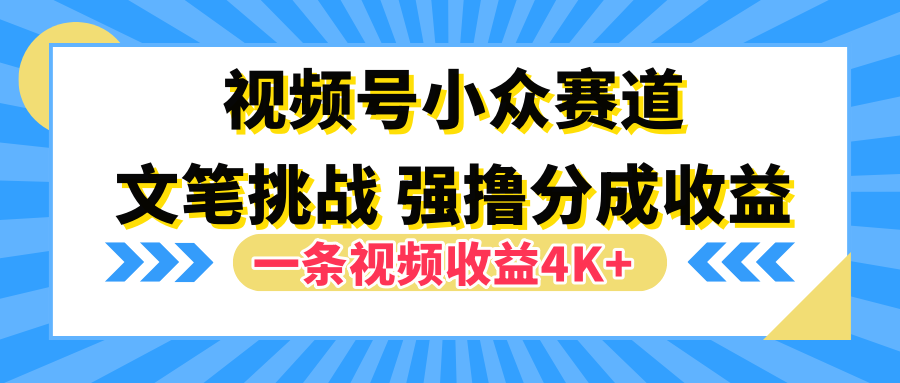 视频号小众赛道，文笔挑战，一条视频收益4K+-项目网