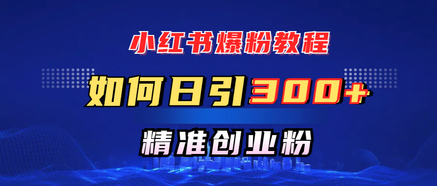 小红书爆粉教程，如何日引300+创业粉，快速实现精准变现！-项目网