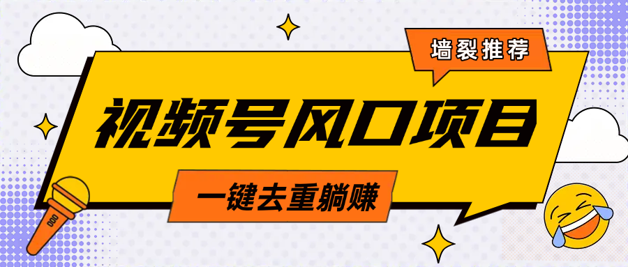 视频号风口蓝海项目，中老年人的流量密码，简单无脑，一键去重，轻松月入过万-项目网