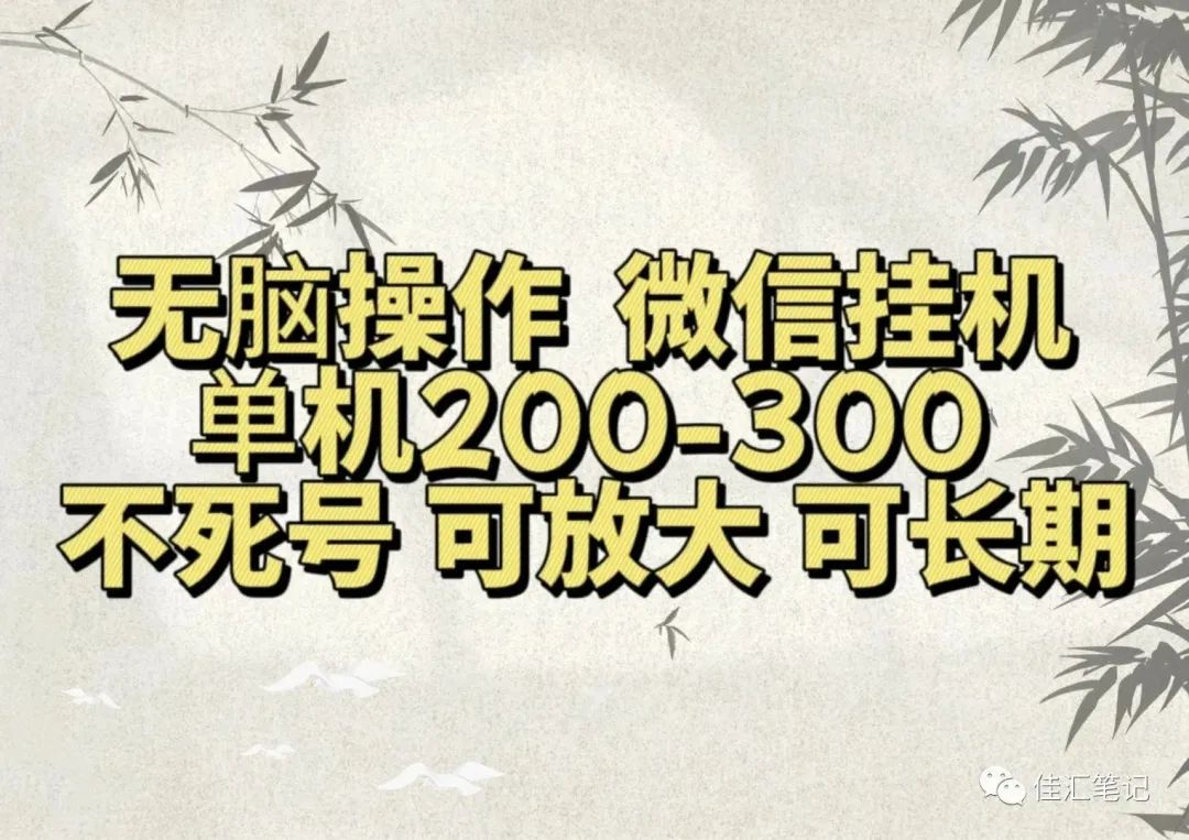 无脑操作微信视频号挂机单机200-300一天，不死号，可放大，工作室实测-项目网