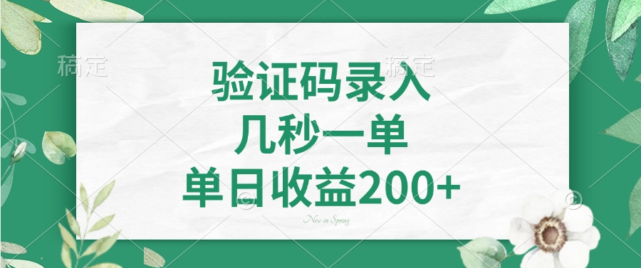验证码录入，几秒一单，单日收益200+-项目网