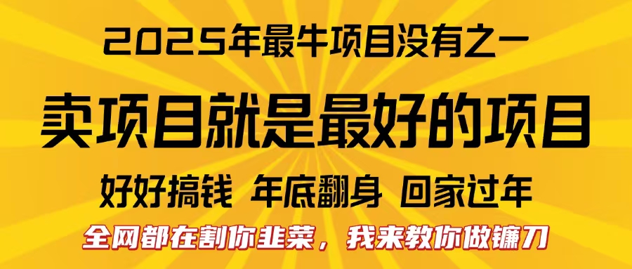 全网都在割你韭菜，我来教你做镰刀。卖项目就是最好的项目，2025年最牛互联网项目-项目网