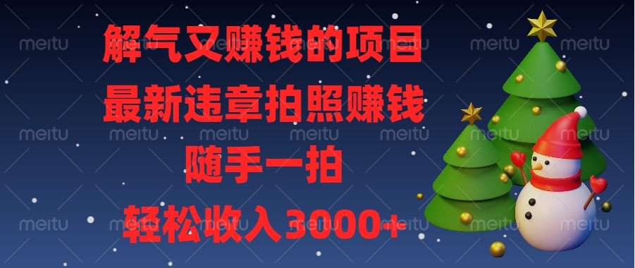 解气又赚钱的项目，最新违章拍照赚钱，随手一拍，轻松收入3000+-项目网