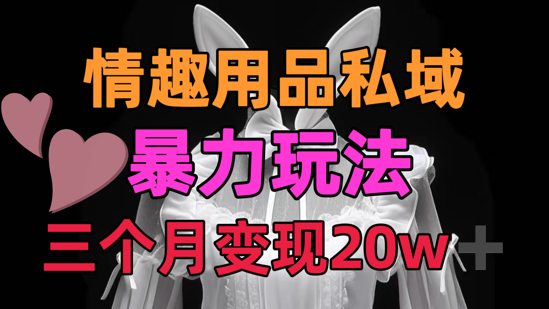 情趣用品私域，25年最新暴力玩法，三个月变现20w➕-项目网