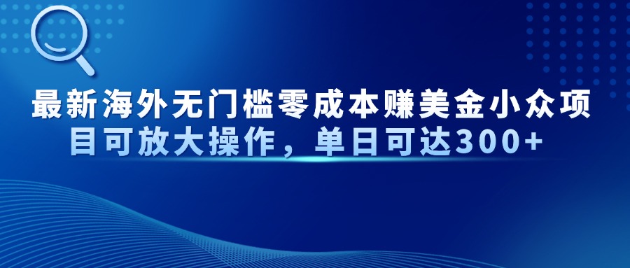 最新海外无门槛美金小众项目可放大操作，单日可达300+-项目网