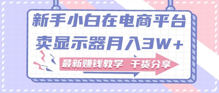 新手小白如何做到在电商平台卖显示器月入3W+，最新赚钱教学干货分享-项目网
