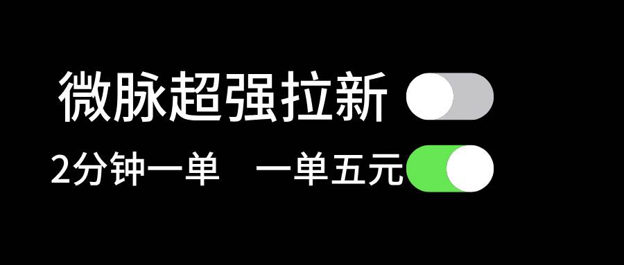 微脉超强拉新， 两分钟1单， 一单利润5块，适合小白-项目网