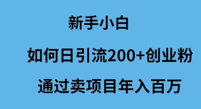 新手小白如何日引流200+创业粉通过卖项目年入百万-项目网