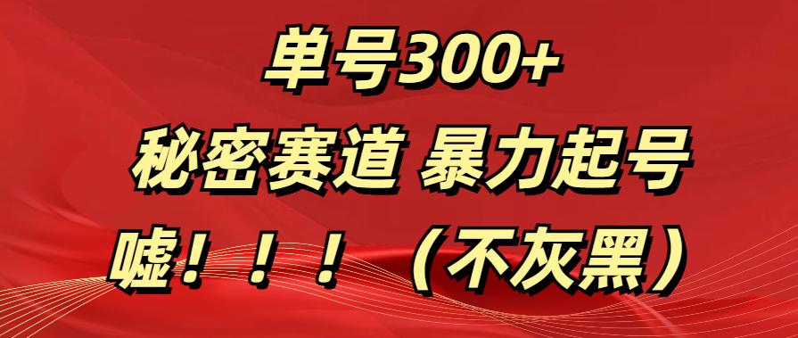 单号300+  秘密赛道 暴力起号  （不灰黑）-项目网