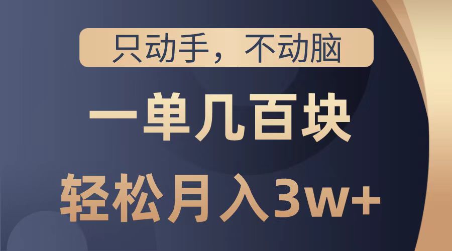只动手不动脑，一单几百块，轻松月入2w+，看完就能直接操作，详细教程-项目网