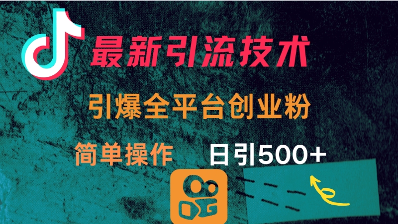 最新引流方法，引爆全平台创业粉操作简单，日引300＋-项目网