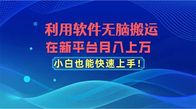 利用软件无脑搬运，在新平台月入上万，小白也能快速上手-项目网