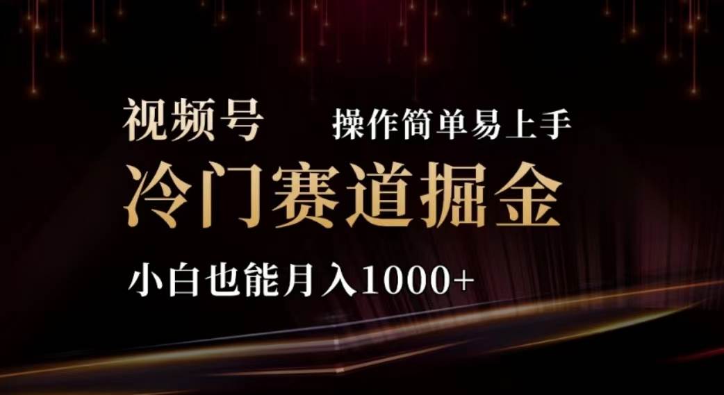 2024视频号冷门赛道掘金，操作简单轻松上手，小白也能月入1000+-项目网