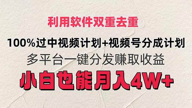 利用软件双重去重，100%过中视频+视频号分成计划小白也可以月入4W+-项目网
