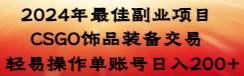 2024年最佳副业项目 CSGO饰品装备交易 轻易操作单账号日入200+-项目网