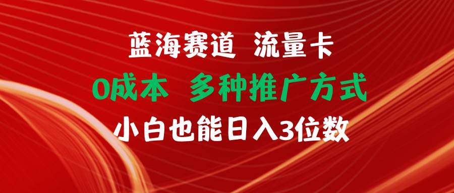 蓝海赛道 流量卡 0成本 小白也能日入三位数-项目网