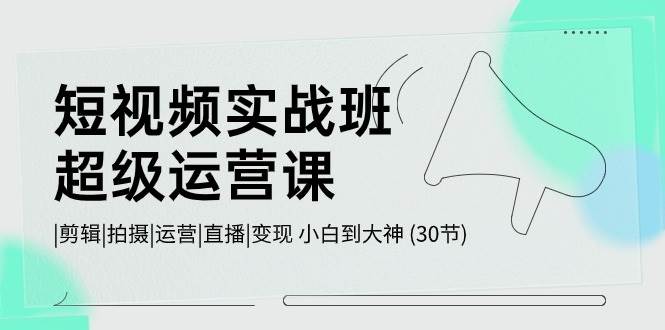 短视频实战班-超级运营课，|剪辑|拍摄|运营|直播|变现 小白到大神 (30节)-项目网