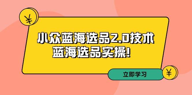 拼多多培训第33期：小众蓝海选品2.0技术-蓝海选品实操！-项目网