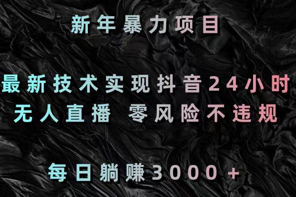 新年暴力项目，最新技术实现抖音24小时无人直播 零风险不违规 每日躺赚3000-项目网