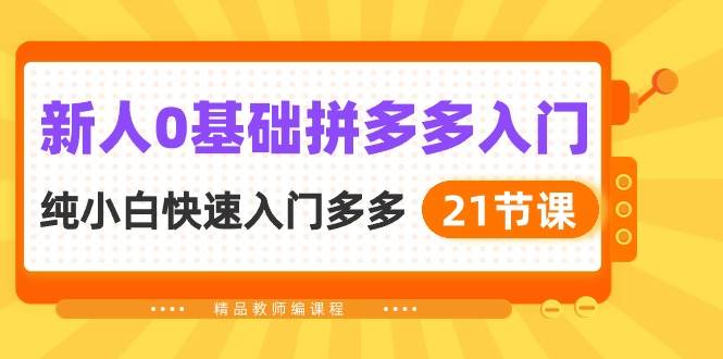 新人0基础拼多多入门，纯小白快速入门多多（21节课）-项目网