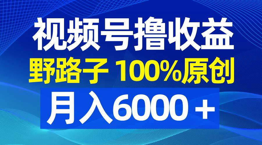 视频号野路子撸收益，100%原创，条条爆款，月入6000＋-项目网
